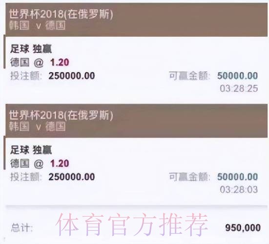 世界杯投注热潮趋势深度剖析